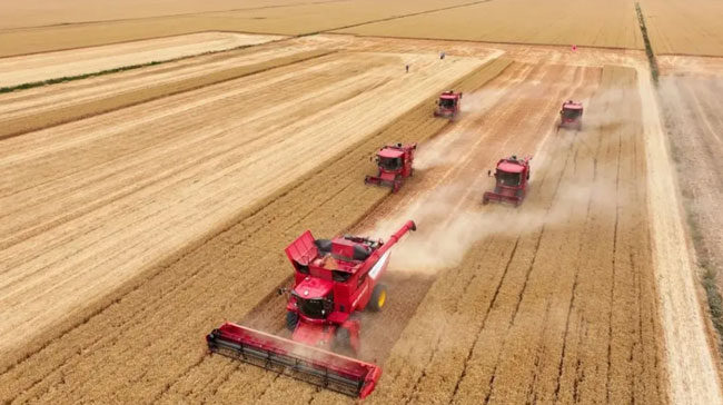 必发·bifa(中国)唯一官方网站